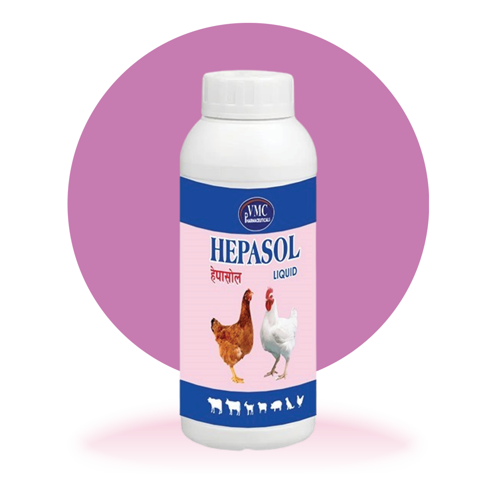 Hepasol
