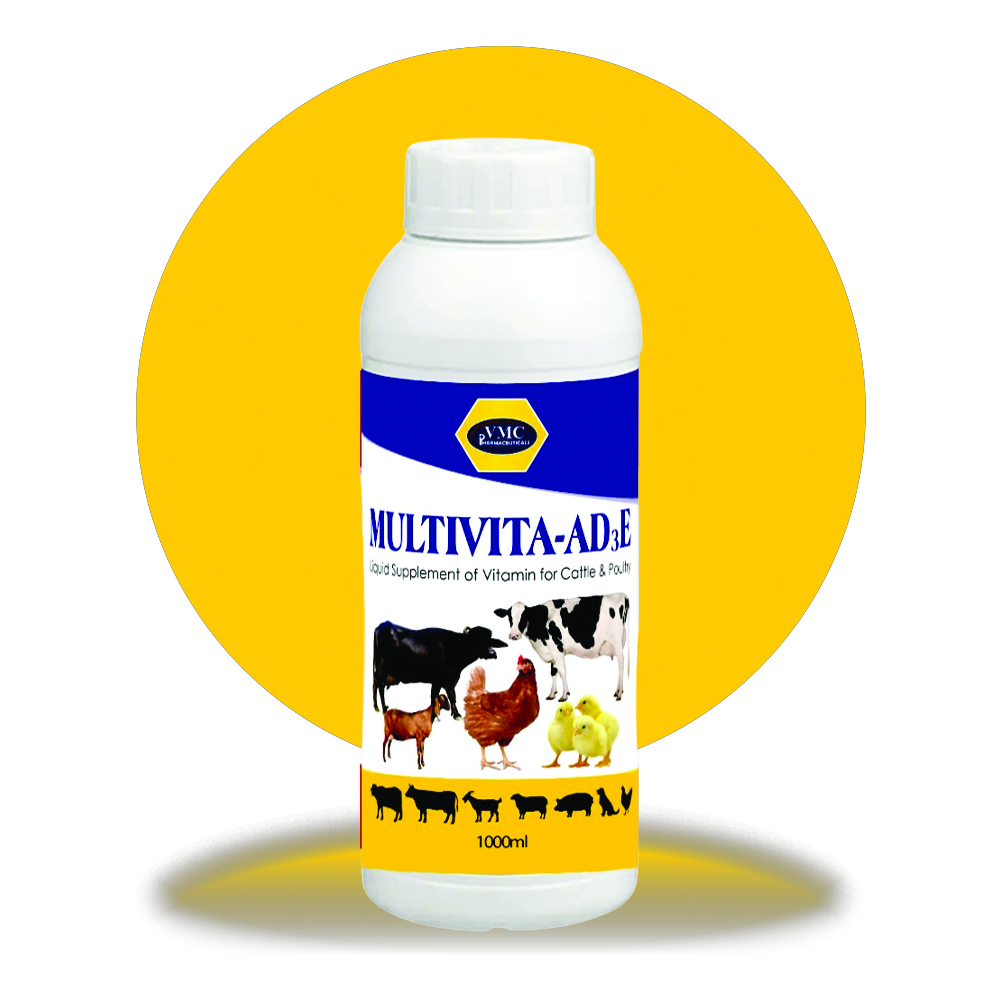 Multivita-AD3E
