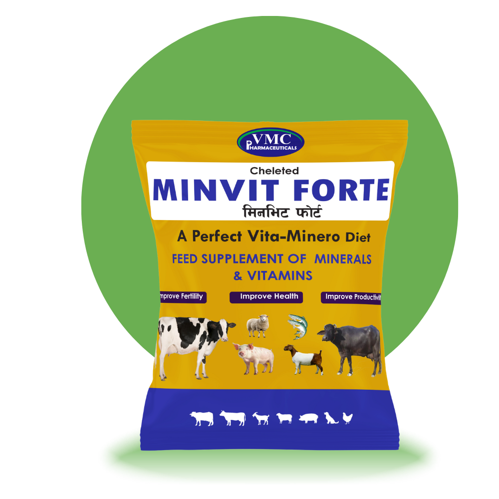 Minvit Forte