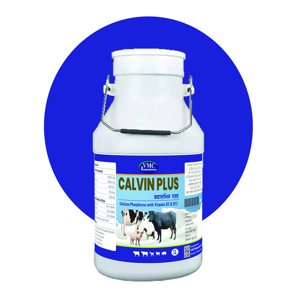 Calvin Plus