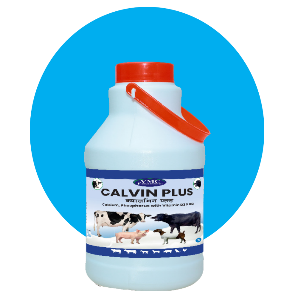Calvin Plus
