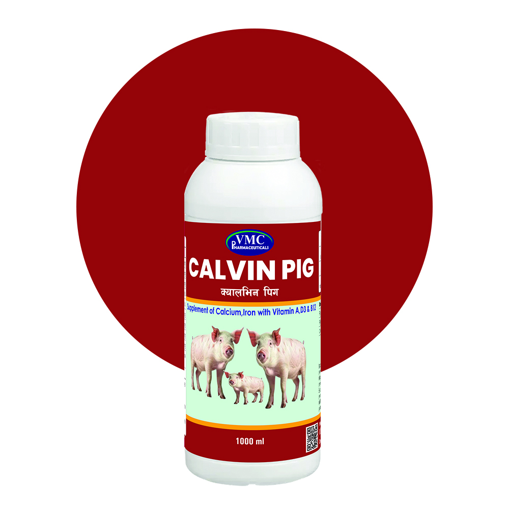 Calvin Pig