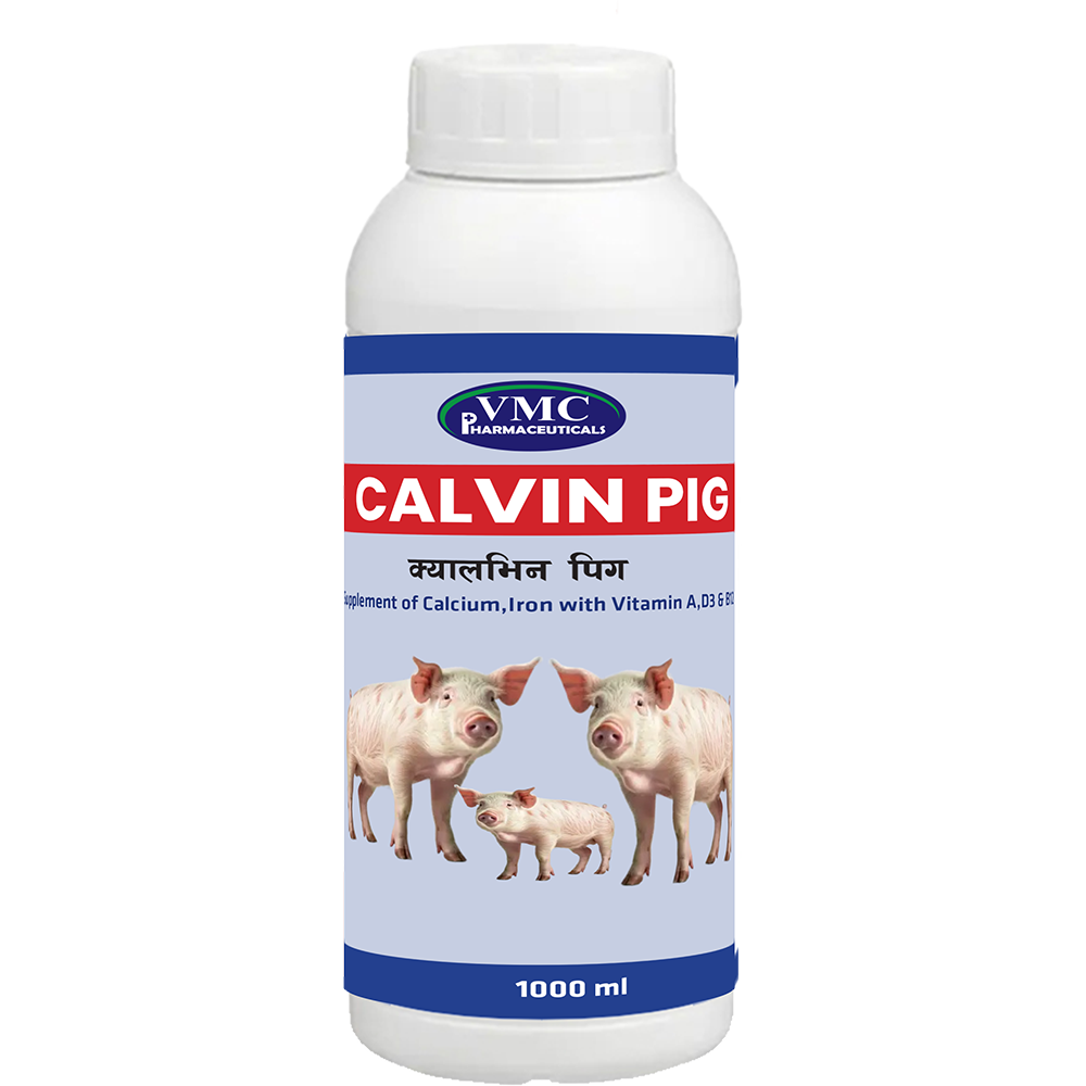 Calvin Pig